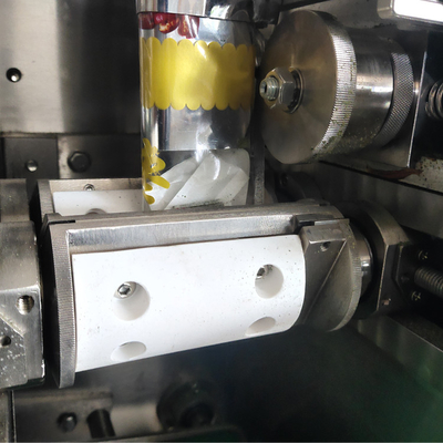 Brightsail Single Chamber Tea Bag Packing Machine Macchina di imballaggio automatico in polvere