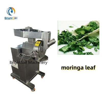 Mulino a martelli ad alta velocità per foglie di erbe, foglie di moringa e spezie